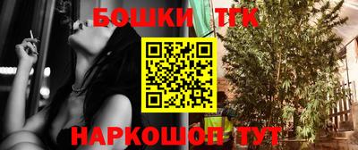 шишки Кимры