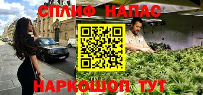 шишки Кимры