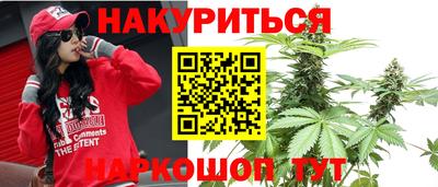 шишки Кимры