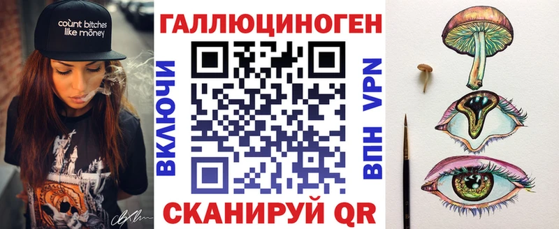 как найти закладки  Новозыбков  Галлюциногенные грибы Psilocybine cubensis 