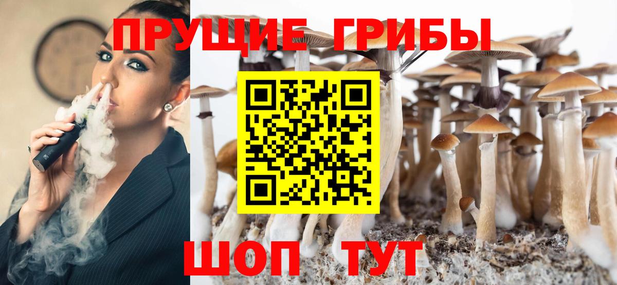 Галлюциногенные грибы GOLDEN TEACHER Новозыбков