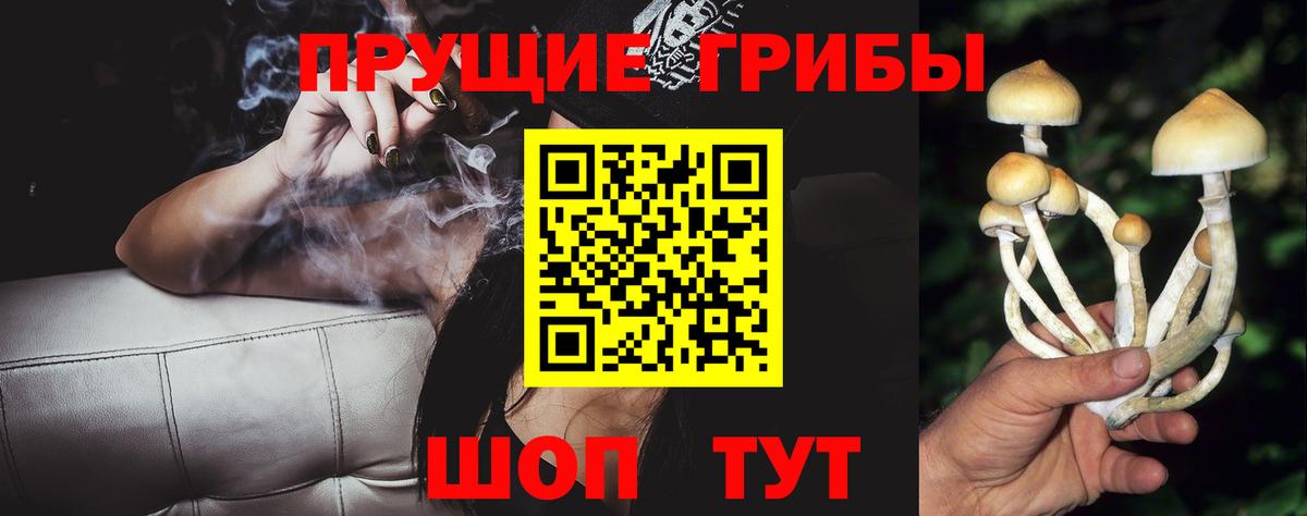 Галлюциногенные грибы Psilocybine cubensis  Вход с VPN  Новозыбков 