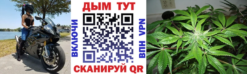 купить  сайты  Новозыбков  МАРИХУАНА гибрид 