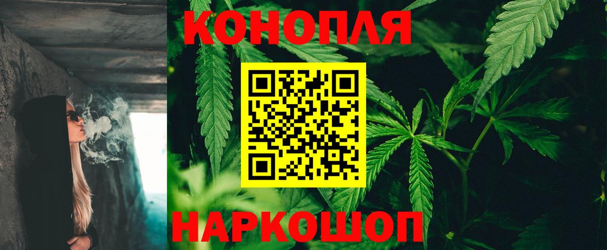 Новозыбков  Марихуана сатива  Вход с VPN  Бошки Шишки Amnesia 